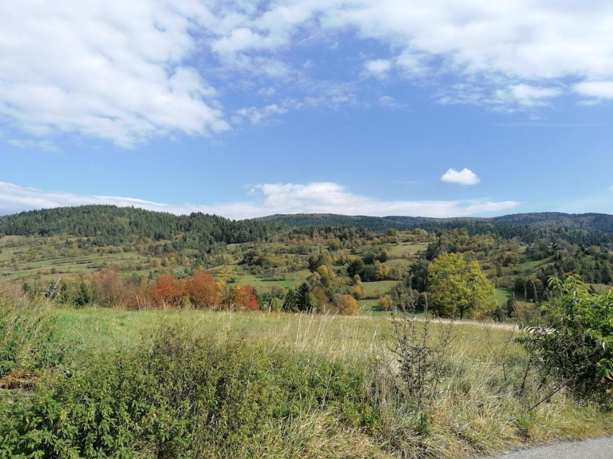 Domki Na Widoku Lubomierz  Bagian luar foto