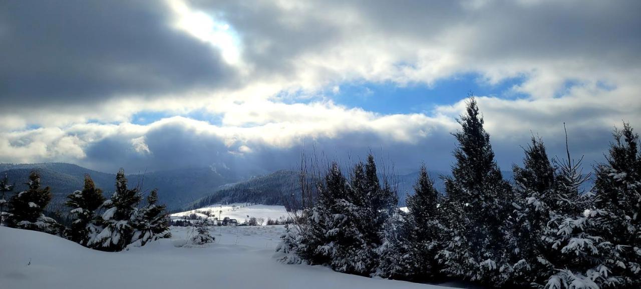 Domki Na Widoku Lubomierz  Bagian luar foto