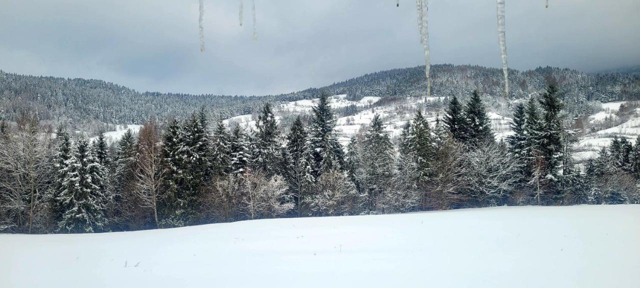 Domki Na Widoku Lubomierz  Bagian luar foto