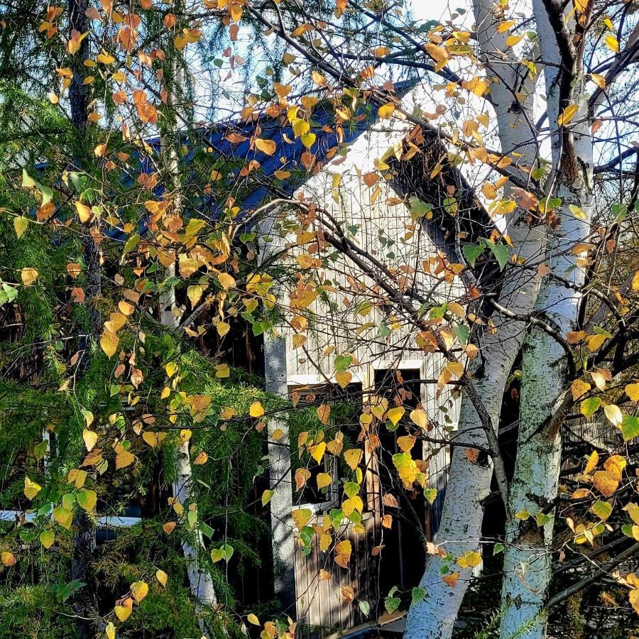 Domki Na Widoku Lubomierz  Bagian luar foto