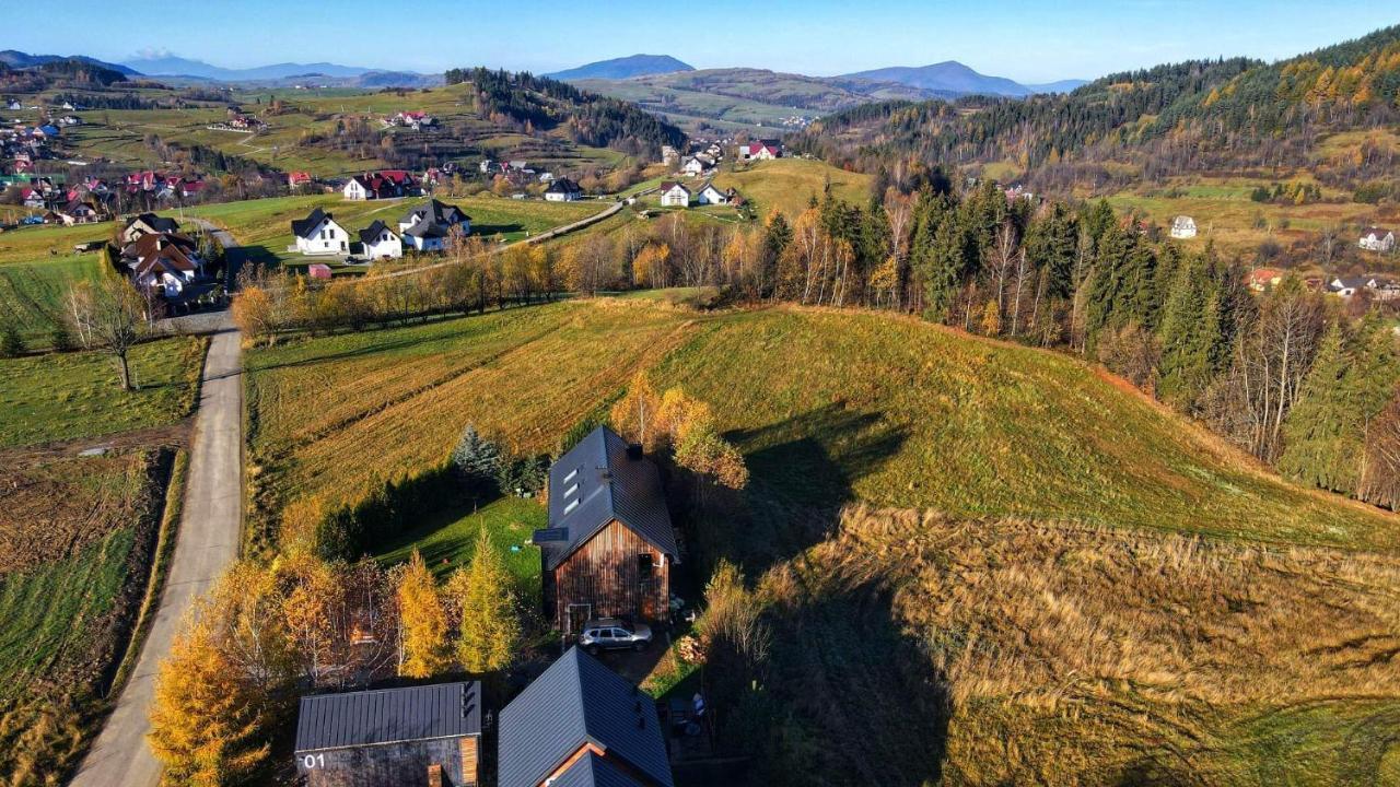 Domki Na Widoku Lubomierz  Bagian luar foto