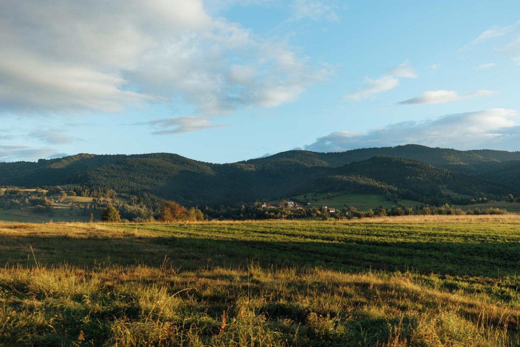 Domki Na Widoku Lubomierz  Bagian luar foto